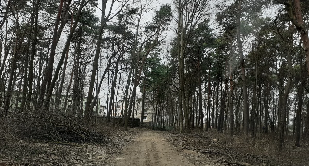 Rusza przetarg na kompleksową rewitalizację Parku Miejskiego „Chojniak” w Stoczku Łukowskim