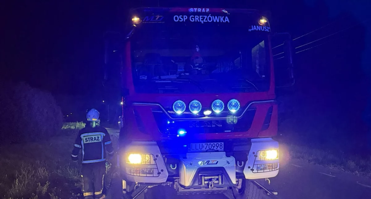 Łoś wyskoczył prosto pod samochód w Ławkach. Kierowca trafił do szpitala