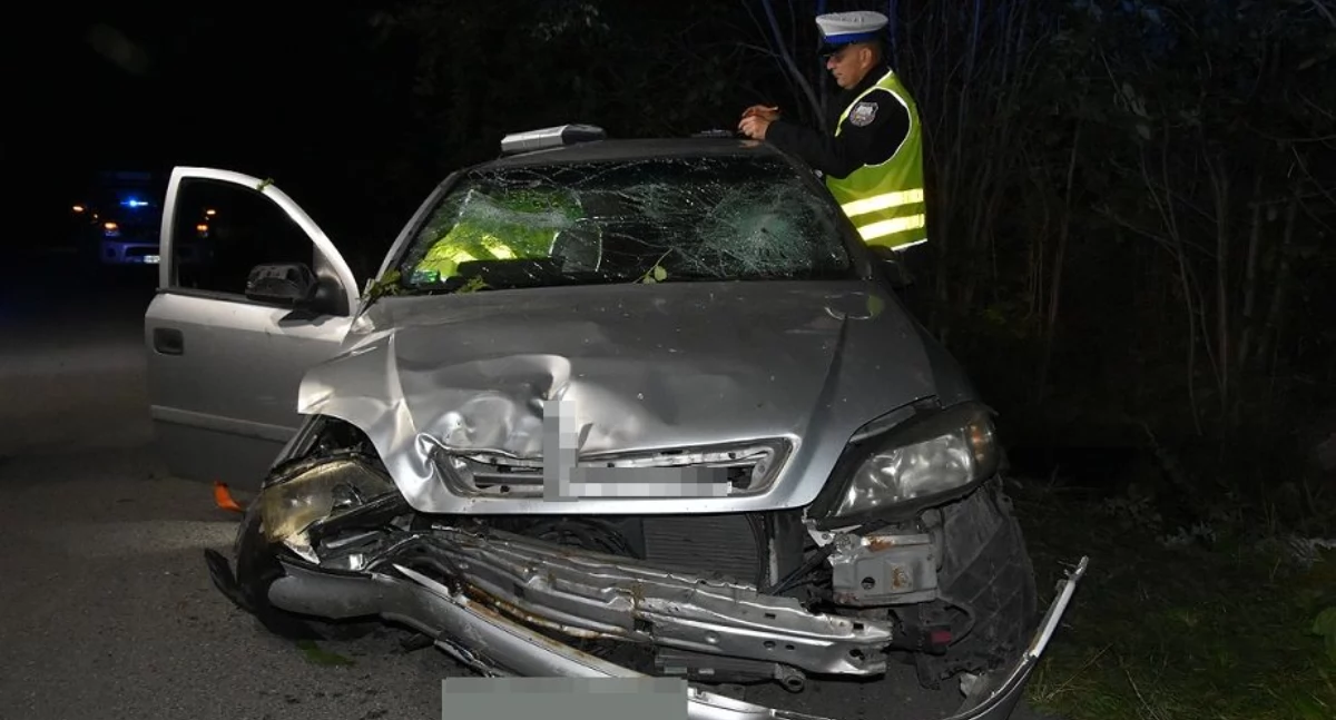 Sarna wyskoczyła przed opla – auto dachowało, dwie osoby w szpitalu