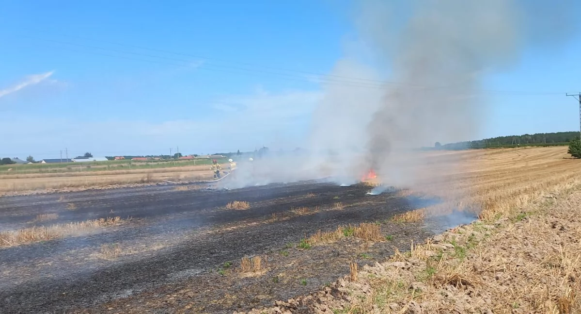 Gęsty dym nad Sarnowem. Strażacy gasili pożar ścierniska