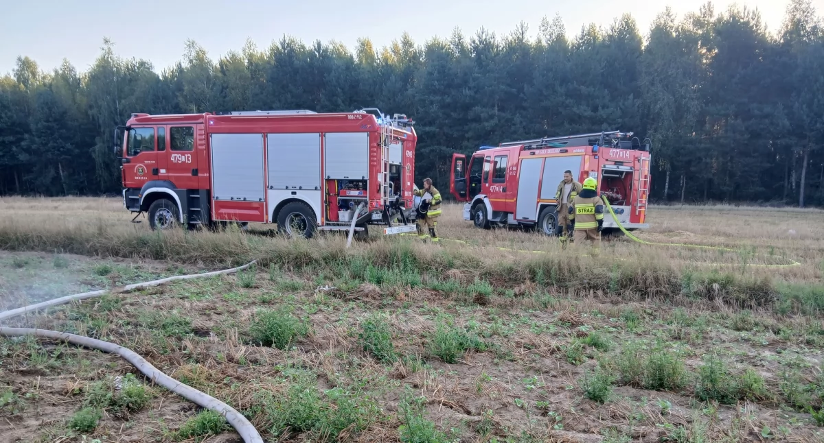 Pożar w Kolonii Rowiny. Płonęła sterta słomy (FOTO