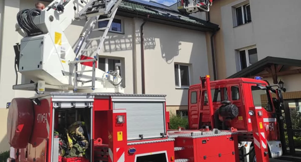 Alarm w DPS w Woli Gułowskiej. Strażacy usuwali gniazdo szerszeni