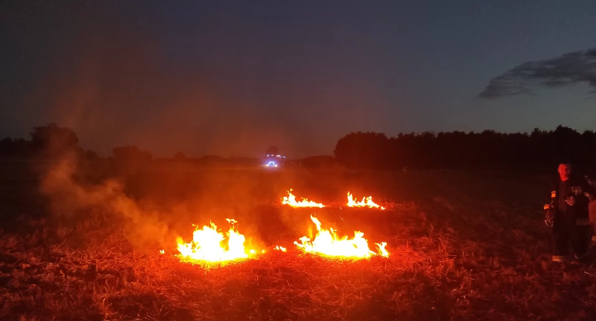 Pożar ścierniska w Turzystwie. Strażacy szybko opanowali ogień