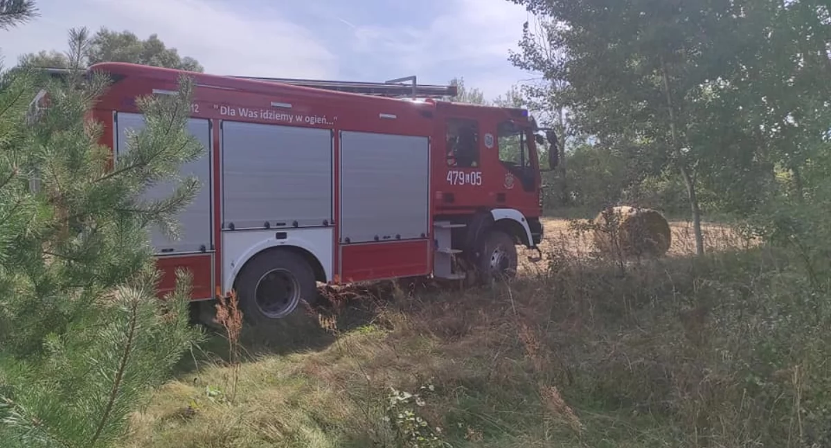 Pożar suchej trawy w Konorzatce. Strażacy szybko opanowali sytuację