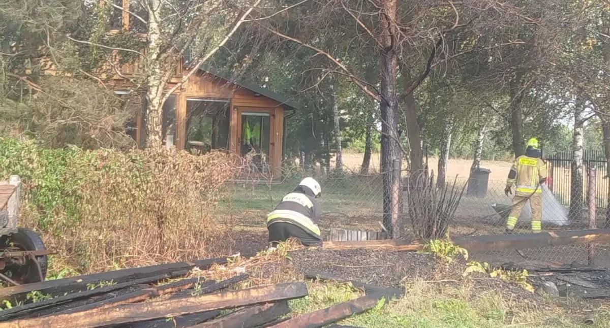 Pożar traw w Mysłowie. Strażacy ratowali zabudowania przed ogniem