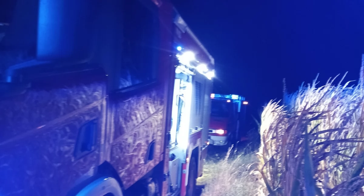 Dąbie w płomieniach: Szybka akcja strażaków zapobiegła katastrofie!