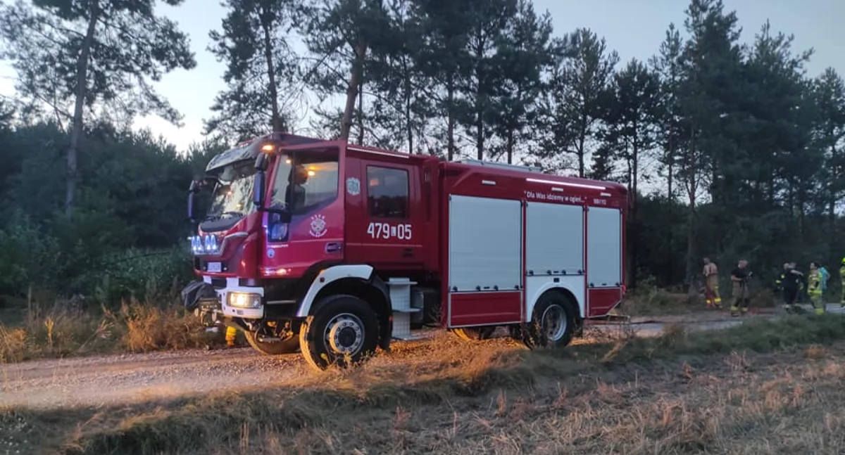 Ogień w gminie Adamów! Druhowie walczyli z pożarem lasu