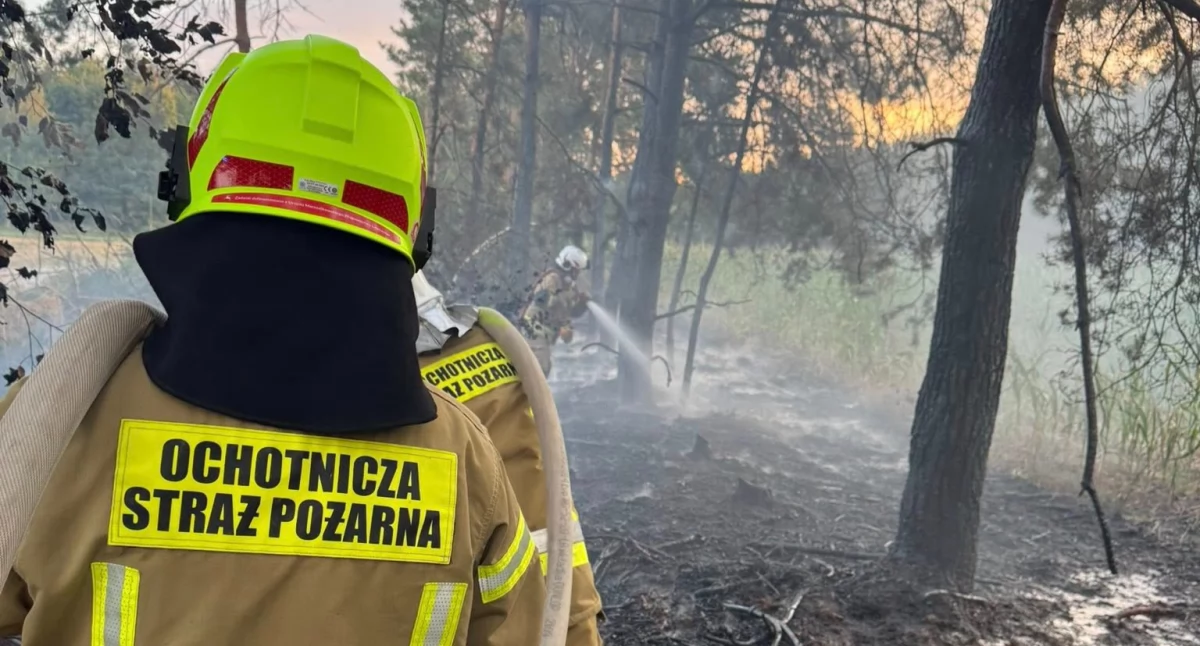 Niebezpieczne dni w gminie Adamów. Strażacy gasili dwa pożary lasów