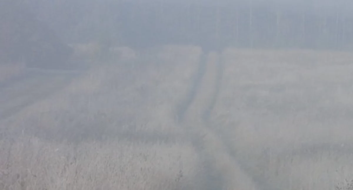 Gęsta mgła nad powiatem łukowskim. IMGW wydał ostrzeżenie