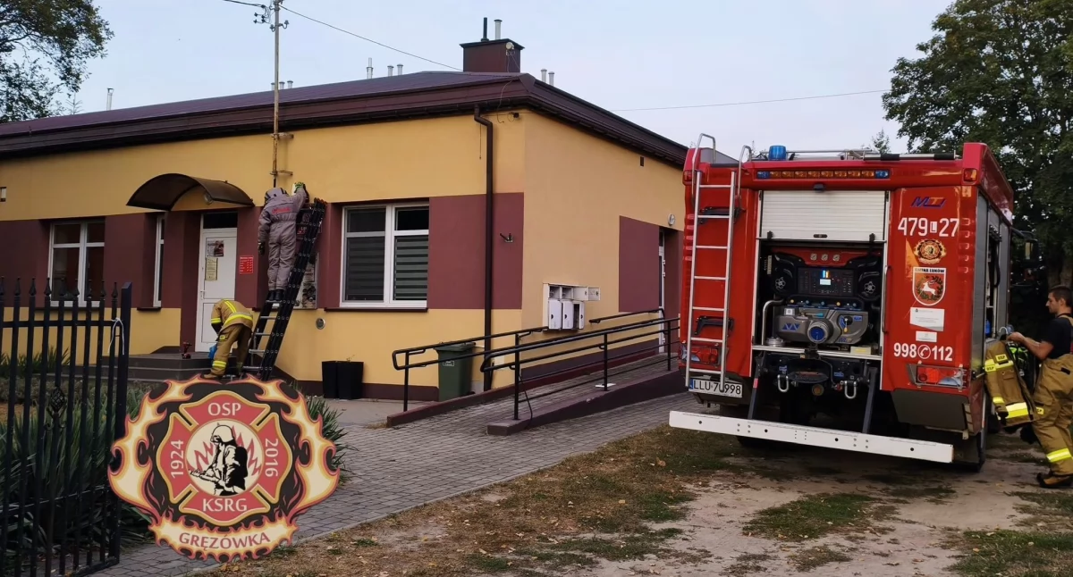 Owady błonkoskrzydłe w elewacji biblioteki w Gręzówce. Interweniowali strażacy