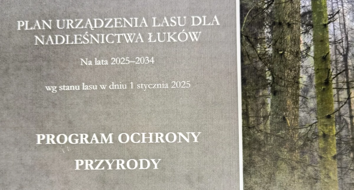 Lasy w Łukowie z planem na 10 lat – zatwierdzony dokument trafił do realizacji