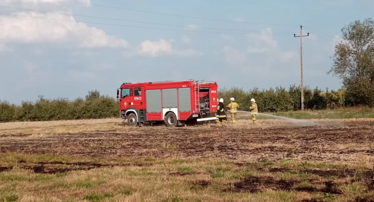 Pożar ścierniska w Krzówce. Strażacy szybko opanowali ogień