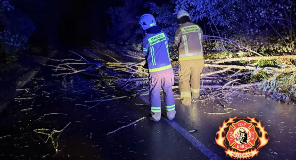 Strażacy z OSP KSRG Gręzówka dwukrotnie interweniowali w Klinkach