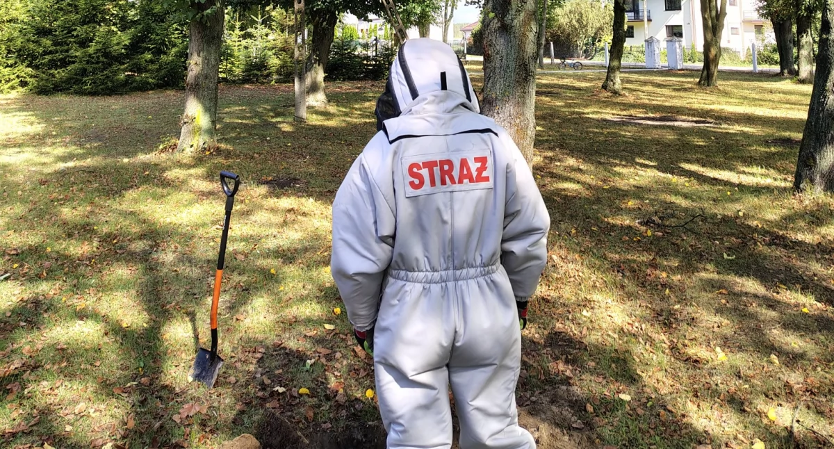 Owady błonkoskrzydłe w Siedliskach. Strażacy ruszyli do akcji