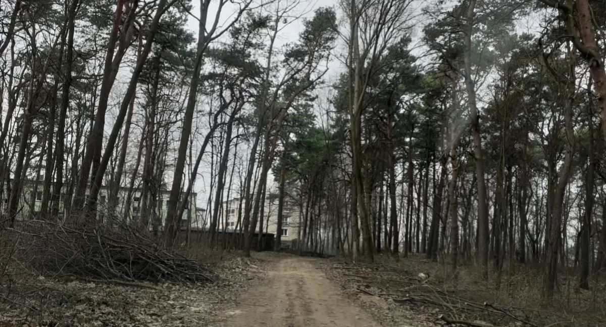 Rusza rewitalizacja Parku Miejskiego „Chojniak”. Najtańsza oferta poniżej 7,4 mln zł