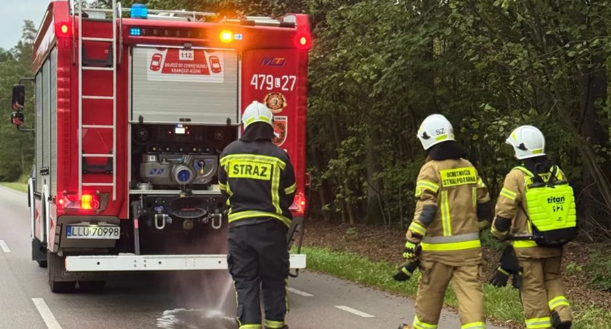 Plama na drodze w Gręzówce – szybka akcja strażaków z OSP