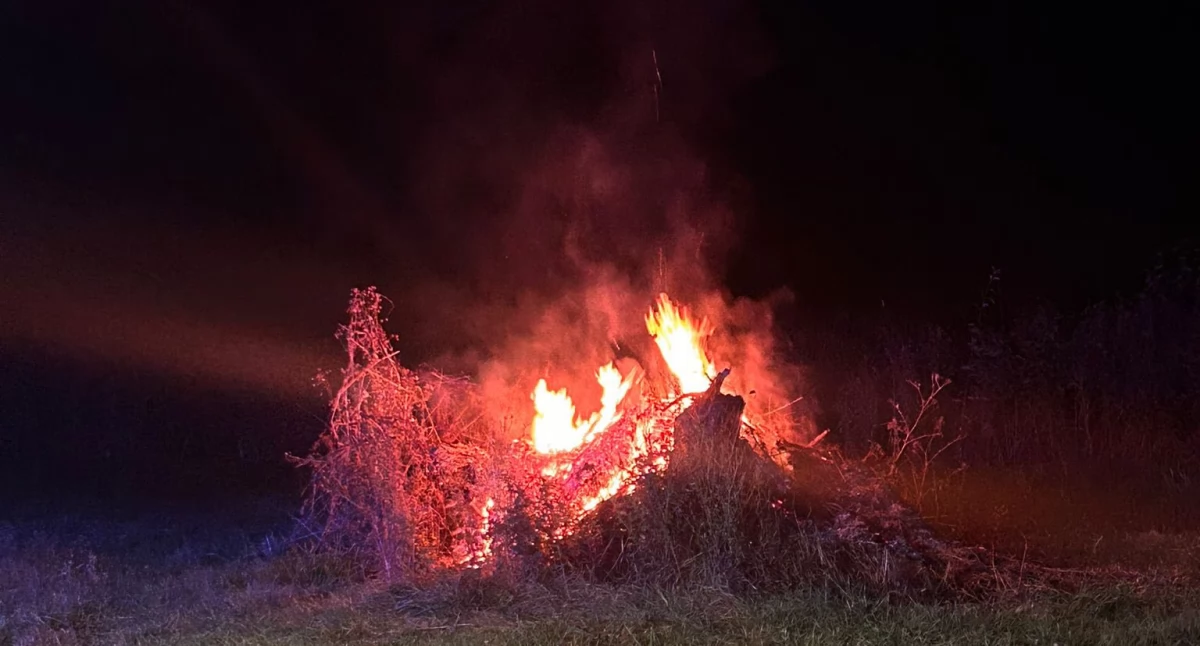 Nocna akcja strażaków w Nowej Prawdzie. Ogień szybko ugaszony
