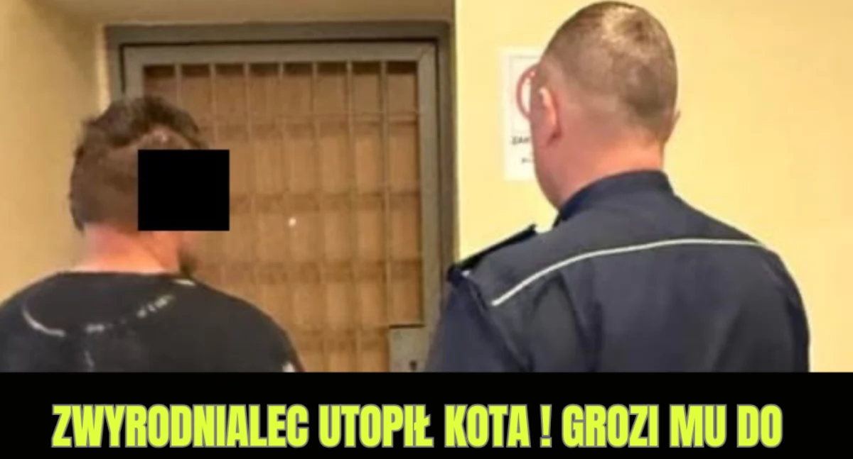 Zwyrodnialec utopił kota ! Grozi mu do 5 lat więzienia