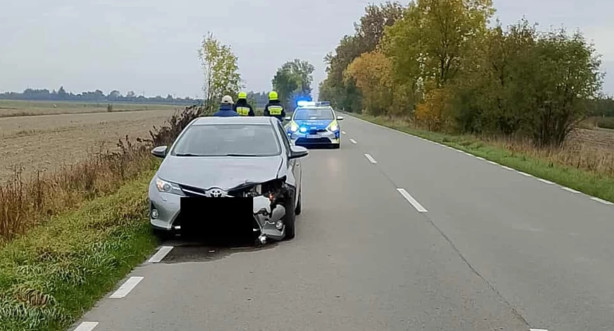 Poranne zderzenie w Krzówce. Sarna wbiegła wprost pod samochód