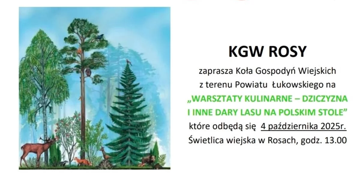 Dziczyzna i dary lasu na stole w Rosach. Zapraszamy na warsztaty kulinarne KGW
