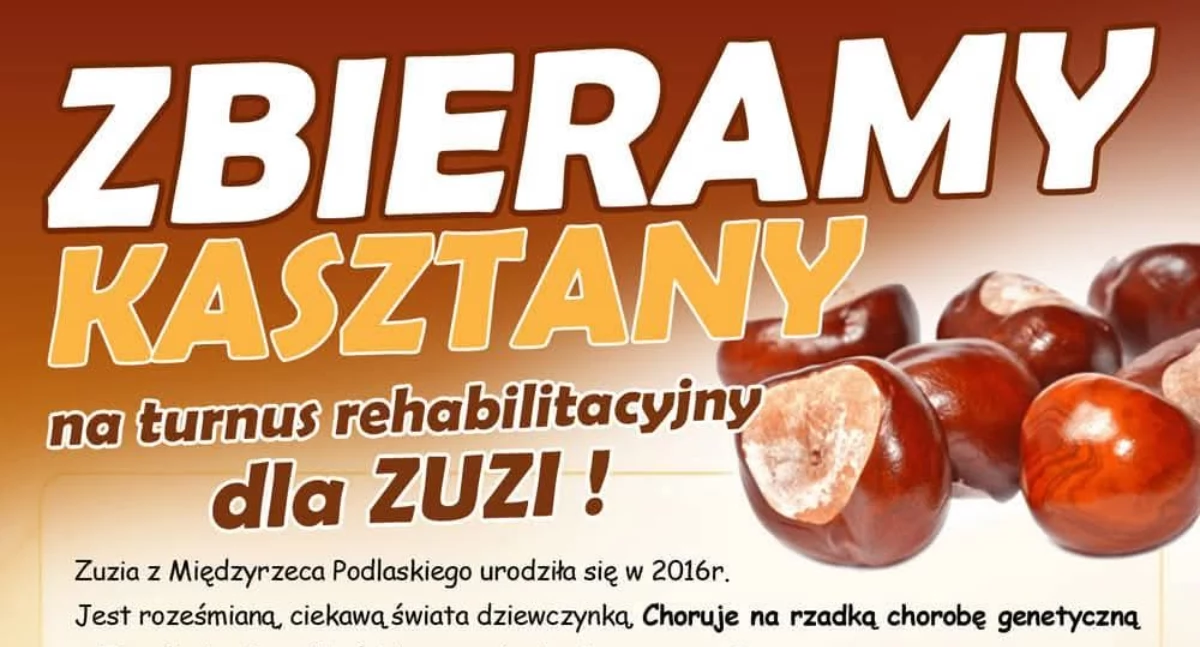 Zbierają kasztany, by pomóc Zuzi. Akcja w Zespole Szkół nr 1 w Łukowie