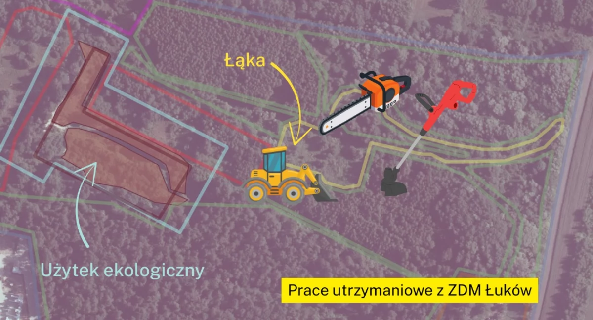 Zielona Mrówka działa! Łuków coraz bliżej pierwszego rezerwatu dla pszczół