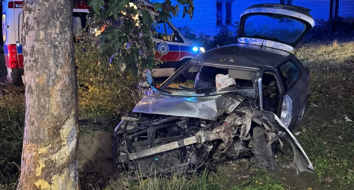 Znamy szczegóły wypadku w Budziskach! Kierowca Audi trafił do szpitala po uderzeniu w drzewo