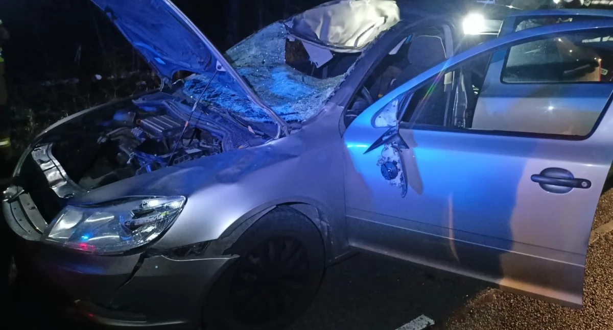 Uwaga na dzikie zwierzęta! Coraz więcej kierowców kończy jazdę w rowie