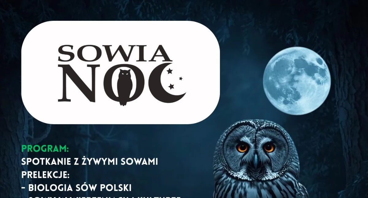 Sowia Noc w Kownatkach: Spotkanie z nocnymi osobnikami i praktyczna lekcja ochrony sów