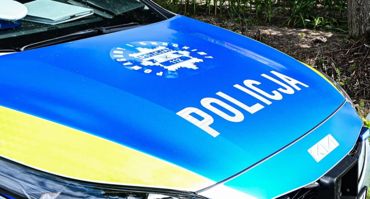   Pouczenie za stłuczkę: Kolizja w Radoryżu