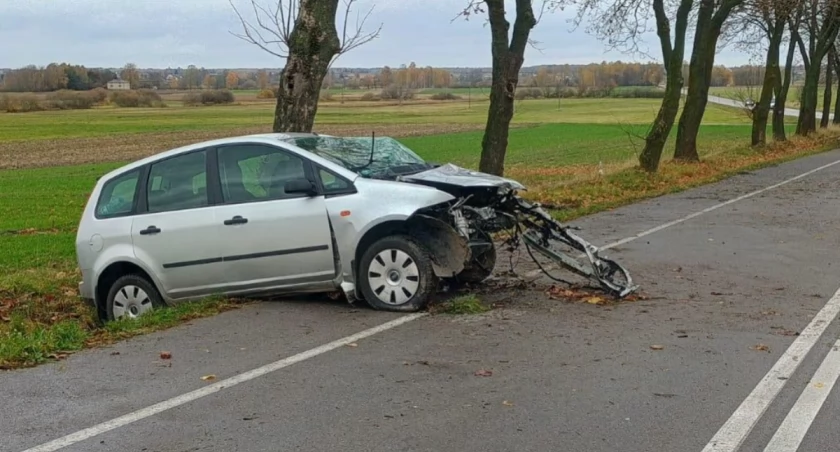 Ford uderzył w drzewo w pod Radzyniem Podlaskim. 58-latek trafił do szpitala