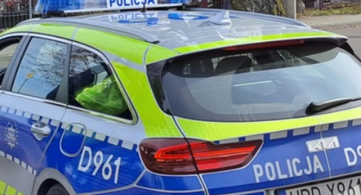 Ciężarówka taranuje ogrodzenie. Kierowca Mercedesa dostał mandat