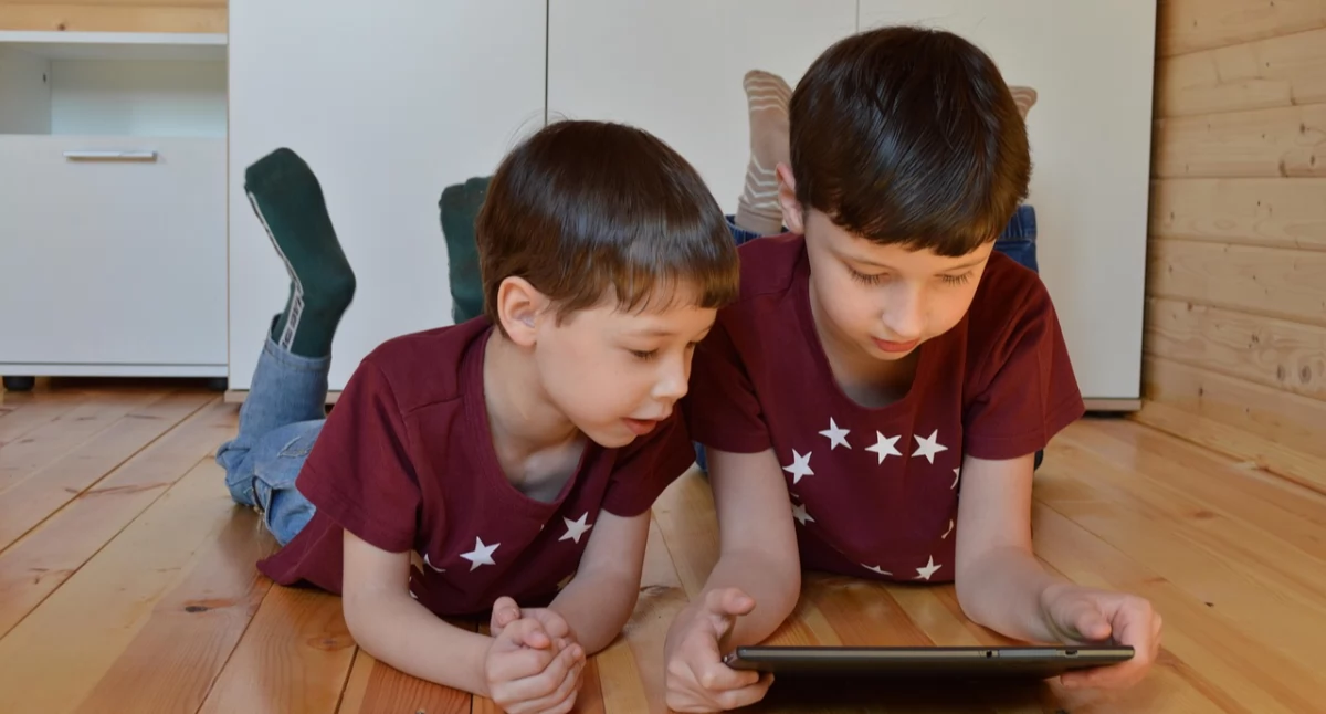 Sprzęt multimedialny dla Szkół Podstawowych w Łukowie 