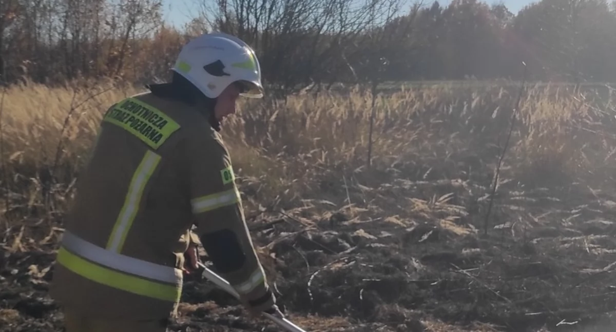 Pożar nieużytków rolnych w Sarnowie 