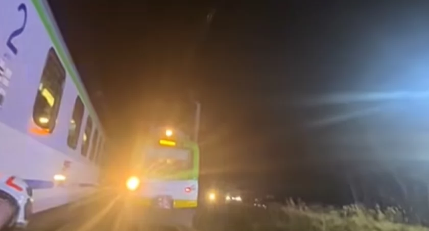 Dramat na torach pod Łukowem: Łoś staranowany przez pociąg PKP Intercity.