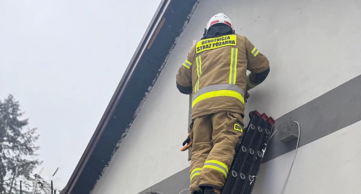 Szybka interwencja w Gręzówce. Strażacy usunęli niebezpieczne gniazdo owadów