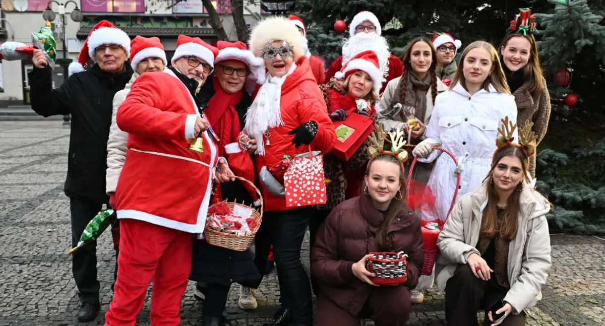 Choinka na Placu Solidarności rozświetlona! Pomogła młodzież i seniorzy