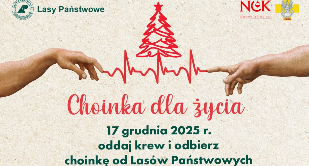 Choinka za Krew. RCKiK i Nadleśnictwo ogłaszają akcję