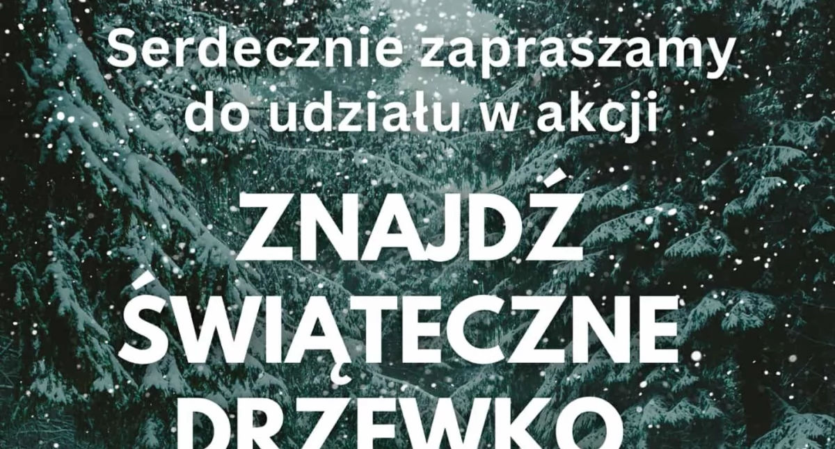 Wspólne ubieranie choinki w sercu rezerwatu Jata
