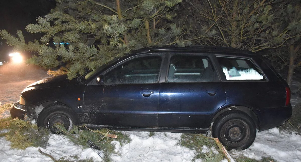 SZOK! Pijany kierowca Audi uderzył w drzewo. Nie miał prawa jazdy