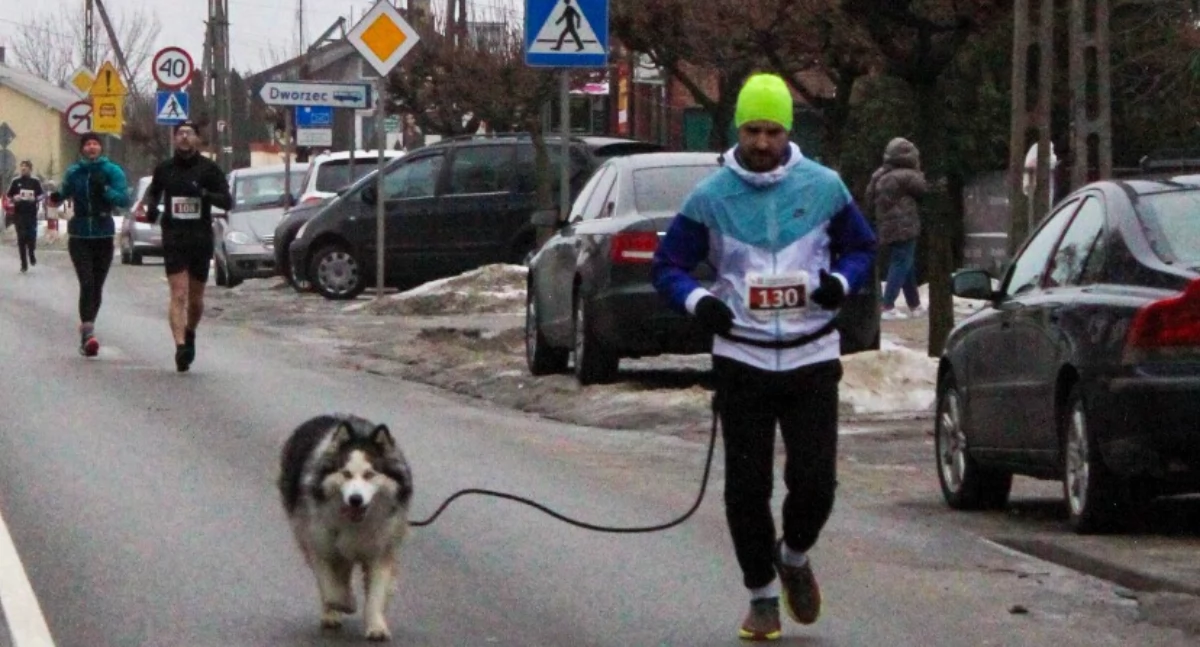 Ponad stu biegaczy i armaty w tle! Zobacz, kto rozbił bank w Stoczku.