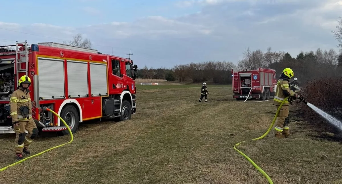 Pożar traw w Hucie Radoryskiej: Strażacy z Krzywdy i Drożdżaka w akcji