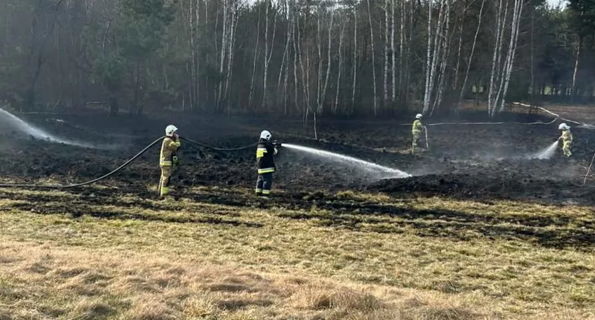 Kłęby dymu nad lasem w gminie Stanin. Zobacz zdjęcia z akcji!
