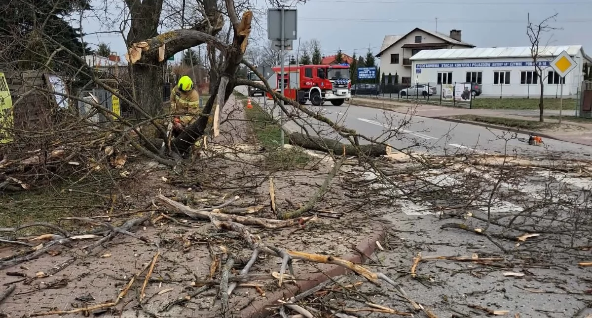 Krzywda: O krok od nieszczęścia. Strażacy z OSP KSRG Krzywda w akcji