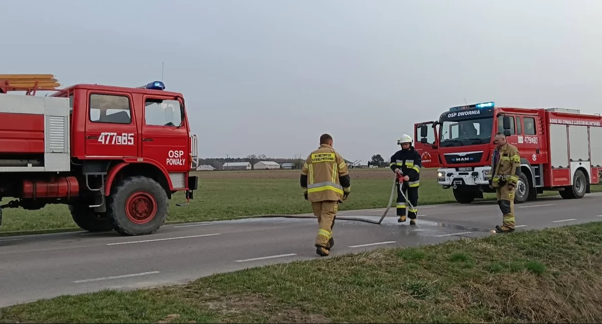 Ciechomin ocalał dzięki błyskawicznej akcji strażaków OSP Powały i Dwornia