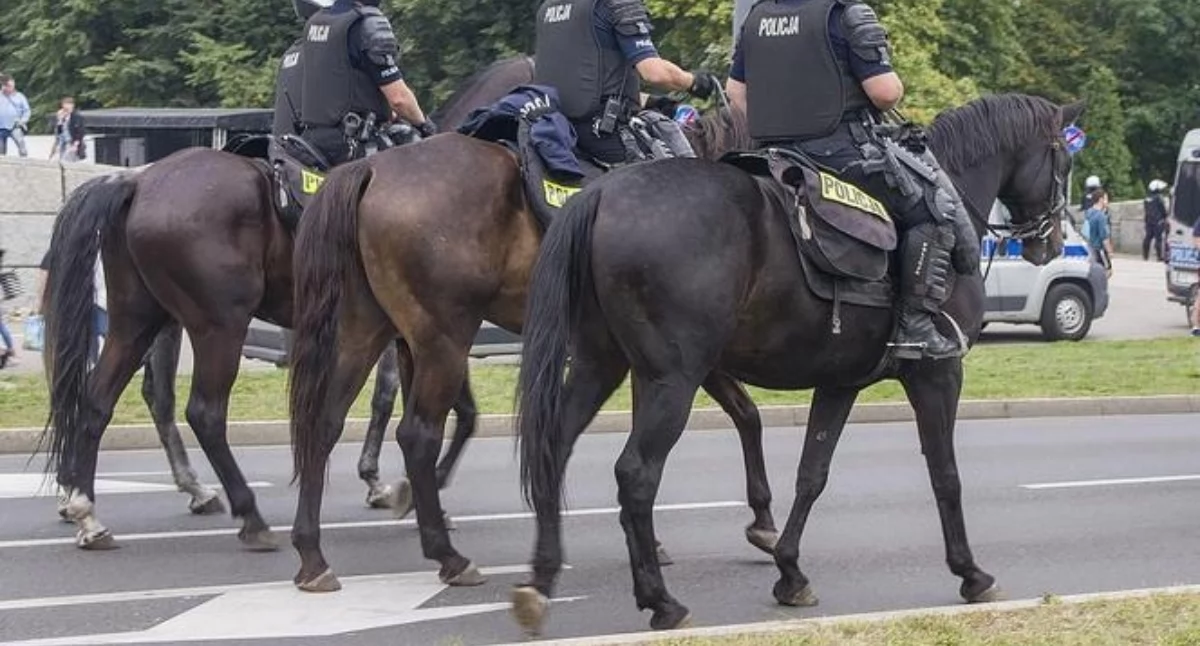 Konie zamiast koni mechanicznych. Łuków wraca do korzeni przez drogie paliwo