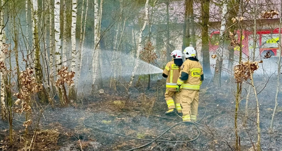 Pożar w Wólce pod kontrolą. Strażacy w 8 minut uratowali budynki