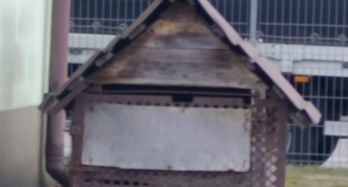 Horror pod Łukowem: Pies w budzie zabitej blachą pilnie potrzebuje pomocy.