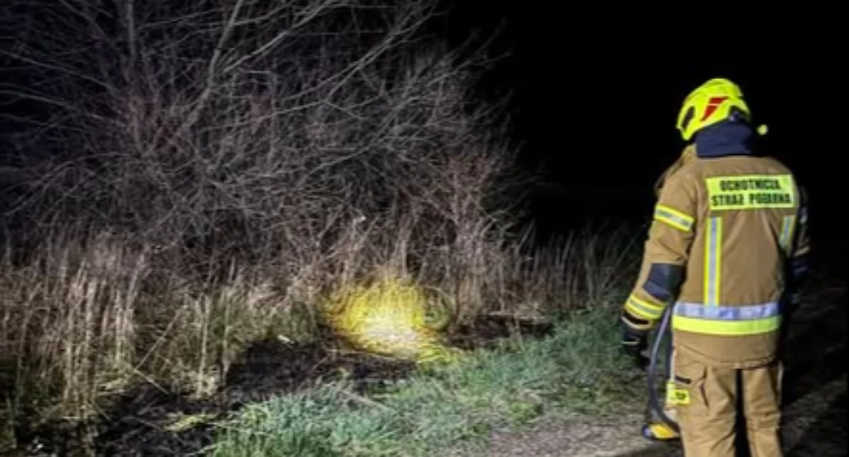 Nocny ogień pod Łukowem! Służby ostrzegają przed wysokimi karami