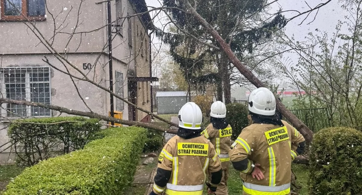Drzewo oparło się o dom w Woli Mysłowskiej. Interwencja OSP Wola Mysłowska i OSP KSRG Dwornia [ZDJĘCIA]